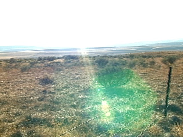 Joaquin Miller pics.102